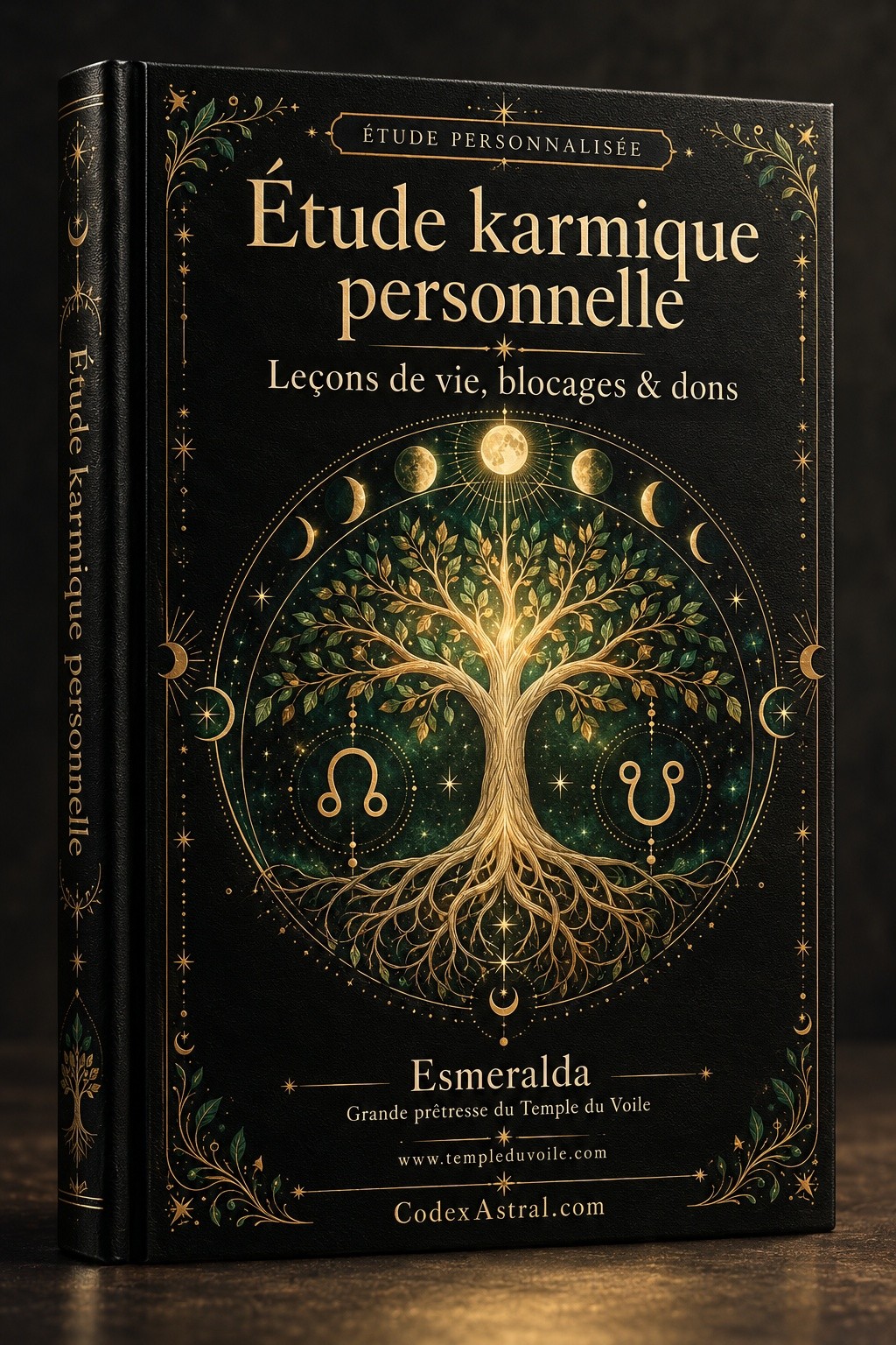Couverture de Étude karmique personnelle